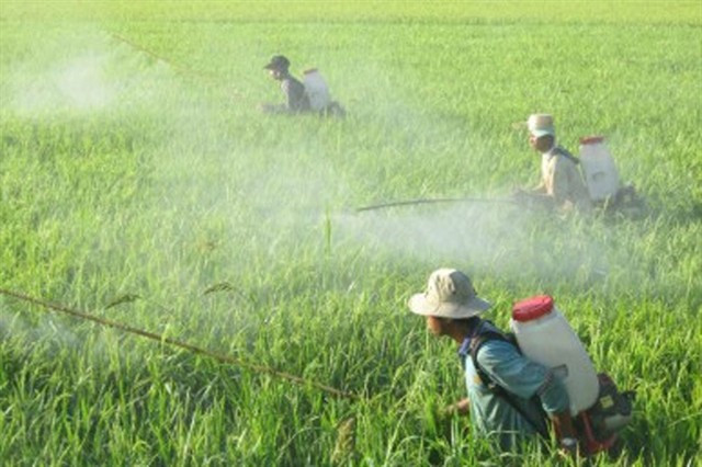 Le contrôle de l'utilisation des produits phytosanitaires contribue à garantir la santé des personnes et des animaux ainsi que la protection de l'environnement. Photo: chinhphu.vn