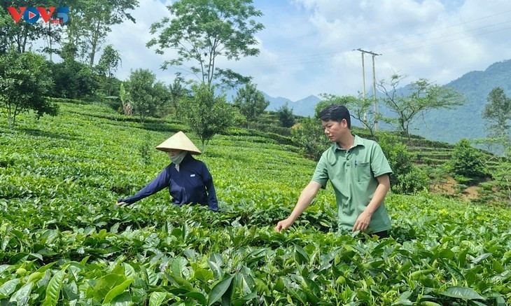 Nguyên Thi Ngân, exploitante à Nâm Bung depuis deux décennies. Photo: VOV