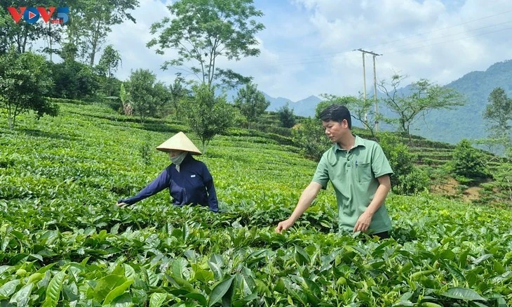 Nguyên Thi Ngân, exploitante à Nâm Bung depuis deux décennies. Photo: VOV