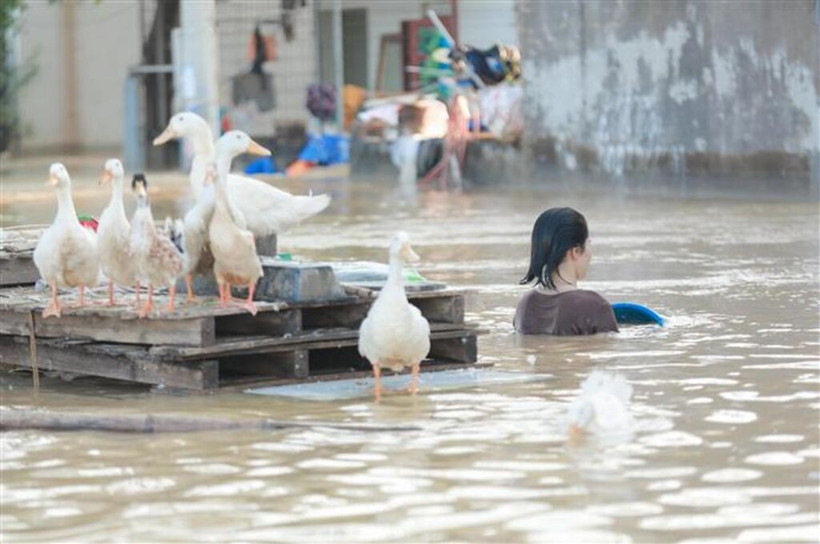 Inondations dans le quartier de Vân Hà, province de Bac Ninh, photos prises le 10 octobre. Photo : VNA