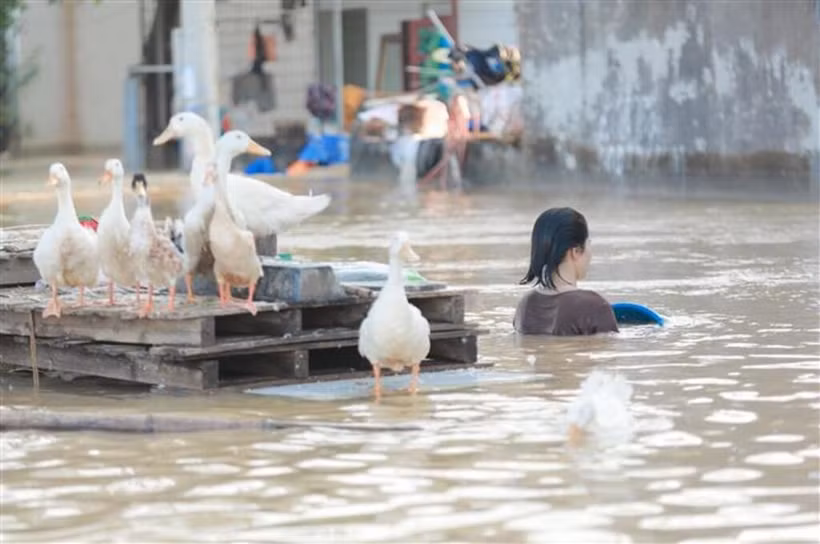 Inondations dans le quartier de Vân Hà, province de Bac Ninh, photos prises le 10 octobre. Photo : VNA