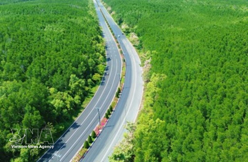 Avec un parcours "touchant la mer et traversant la forêt" et la participation de partenaires de mobilité verte tels que VinFast et Xanh SM, le VnExpress Marathon Green Paradise Cân Gio est la course présentant le parcours le plus écologique du système VnExpress Marathon. Photo : VNA