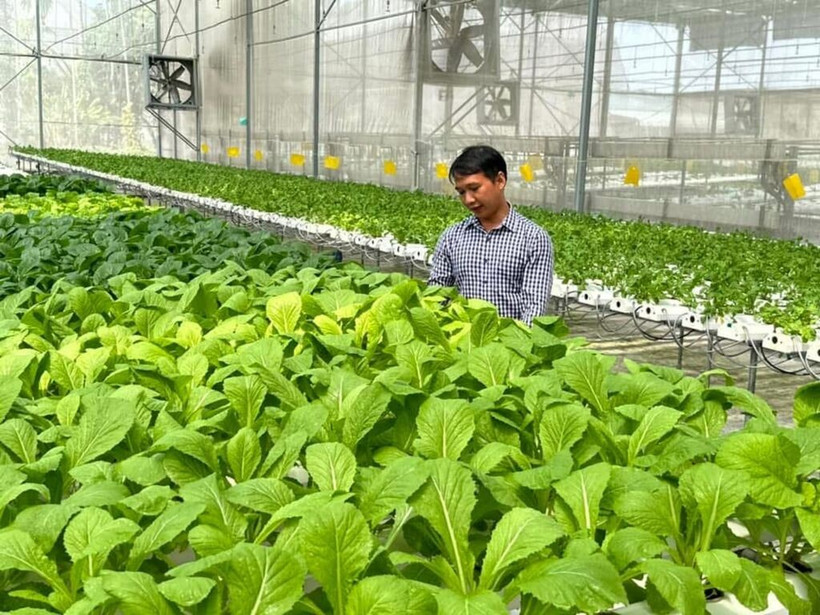 La transformation verte gagne du terrain dans la production agricole. Photo: CVN
