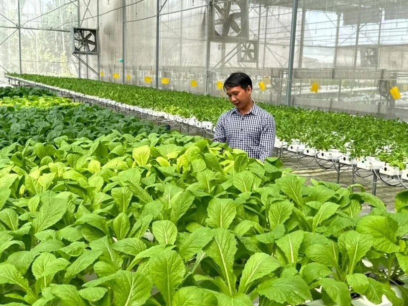 La transformation verte gagne du terrain dans la production agricole. Photo: CVN