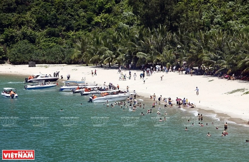 La nature vierge de l’archipel de Cu Lao Chàm en fait un site d’éco-tourisme particulièrement attirant pour les touristes vietnamiens et étrangers. Photo: VNA