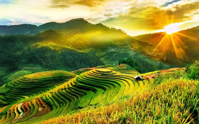 Mu Cang Chai. Photos: Internet