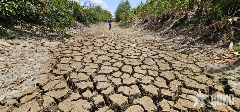 Le canal Suon, traversant la commune de Tân Tâp, district de Cân Giuôc, province de Long An, à sec en raison d’une sécheresse prolongée et de la salinité en 2024. Photo : qdnd.vn