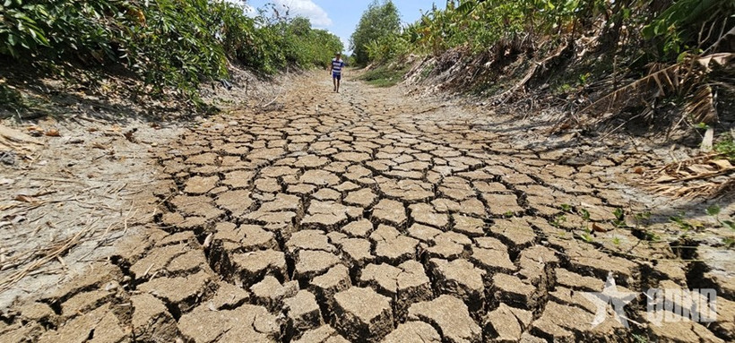 Le canal Suon, traversant la commune de Tân Tâp, district de Cân Giuôc, province de Long An, à sec en raison d’une sécheresse prolongée et de la salinité en 2024. Photo : qdnd.vn