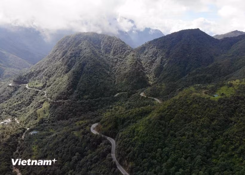 L'APV est généralement destiné à favoriser les changements systémiques dans le secteur forestier en vue d’une gestion durable des forêts. Photo: VietnamPlus