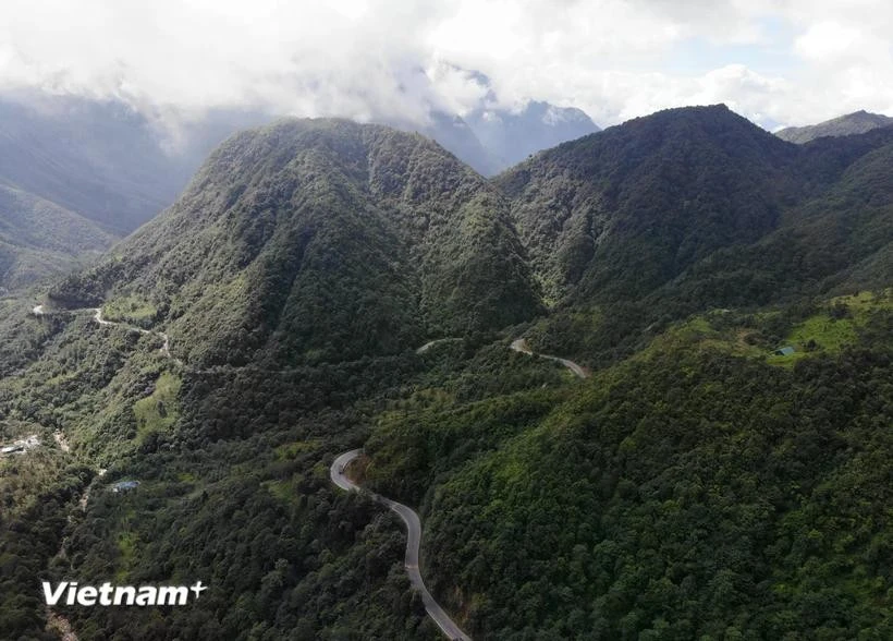 L'APV est généralement destiné à favoriser les changements systémiques dans le secteur forestier en vue d’une gestion durable des forêts. Photo: VietnamPlus