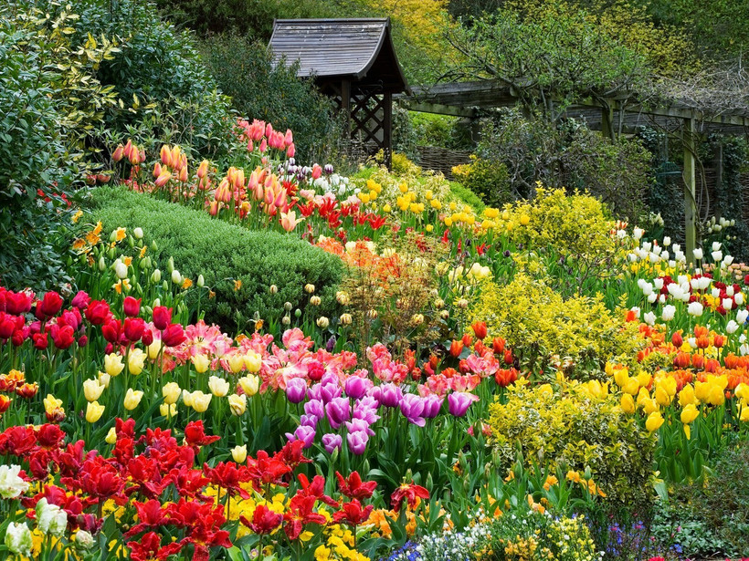 Jardin fleuri du centre-ville de Dalat. Photo : Bazan Travel
