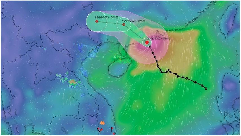 Le typhon Tapah apportera de fortes pluies dans le Nord du Vietnam après avoir frappé la province chinoise du Guangdong le 8 septembre. Photo : vndms