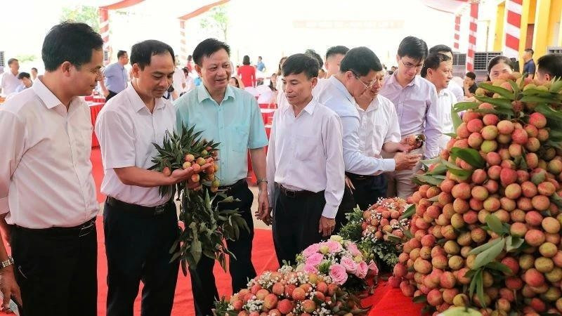 Lors de la conférence sur la coopération en vue de commercialisation de litchis précoces de Tân Yên en 2025. Photo : NDEL