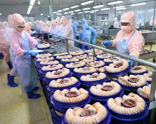 Transformation de crevettes pour l'exportation vers les marchés américain et japonais du groupe Minh Phu. Photo : VNA
