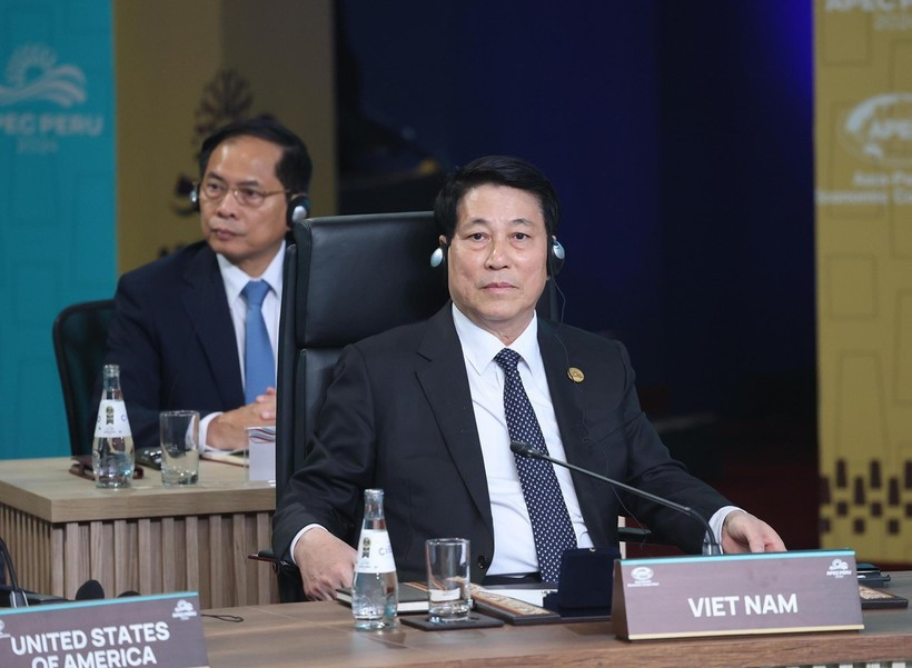 Le président Luong Cuong. Photo : VNA