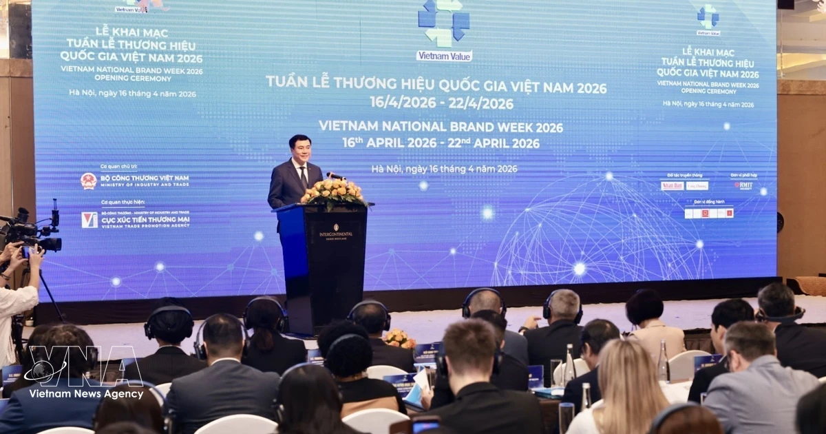 Vietnam's Cultural Diplomacy and Global Soft Power Strategy