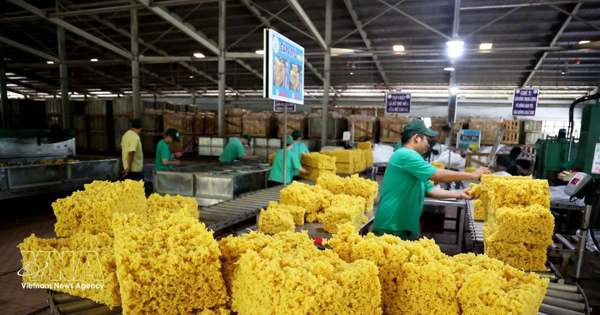De l’exportation de masse à la maîtrise des chaînes de valeur agricoles et forestières