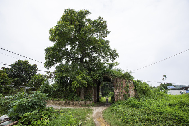 La porte ouest, presque intacte, dévoile une architecture en voûte constituée de plusieurs couches de briques traditionnelles. Photo : VNA anh-1-5.jpg