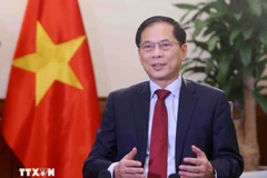 Le vice-Premier ministre vietnamien Bui Thanh Son. Photo : VNA