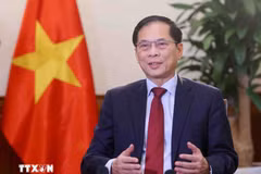 Le vice-Premier ministre vietnamien Bui Thanh Son. Photo : VNA