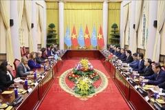 Lors de l'entretien entre le secrétaire général de l’ONU Antonio Guterres et le président Luong Cuong. Photo : VNA