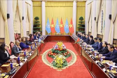 Lors de l'entretien entre le secrétaire général de l’ONU Antonio Guterres et le président Luong Cuong. Photo : VNA