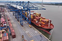 Chargement et déchargement de marchandises d'exportation au port international à conteneurs de Hai Phong. Photo : VNA