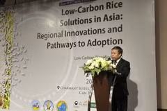 Le professeur Nguyên Hông Son, directeur de l'Académie vietnamienne des sciences agricoles lors du colloque. Photo : baochinhphu.vn