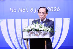 Le ministre des Affaires étrangères Lê Hoai Trung. Photo : VNA