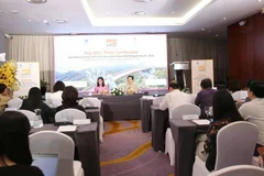 Lors de la conférence de presse sur l'événement, tenue à Hanoï le 3 juin. Photo : VNA