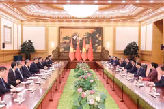 Lors des entretiens entre le président de l'État, Luong Cuong, et le secrétaire général du Parti communiste chinois et président de la République populaire de Chine, Xi Jinping. (Photo : VNA)