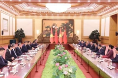 Lors des entretiens entre le président de l'État, Luong Cuong, et le secrétaire général du Parti communiste chinois et président de la République populaire de Chine, Xi Jinping. (Photo : VNA)