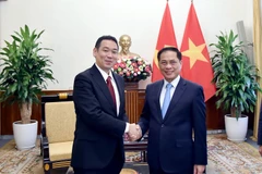 Le vice-Premier ministre et ministre des Affaires étrangères, Bui Thanh Son (droite) et Tanaka Yu, vice-président du Présidium et chef par intérim du Secrétariat du Comité central du Parti communiste japonais. Photo : VNA