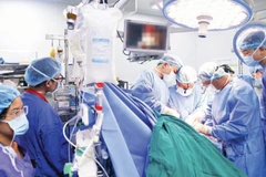 Photo : journal Nhan Dan