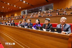 La délégation du Comité du Parti de la province de Quang Ngai assiste à la séance d’ouverture du XIVe Congrès national du Parti. Photo / VNA