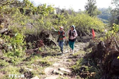 L’ancienne route pavée Pavi reliant la commune de Sin Suôi Hô (province de Lai Châu) à la commune de Dền Sáng (province de Lào Cai). Photo : VNA
