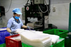 Production de galettes de riz, spécialité de Tây Ninh, à la société à responsabilité limitée Tân Nhiên (hameau de Truong Phu, commune de Truong Dông, ancien chef-lieu de la ville de Hoa Thành). Photo d’illustration : VNA