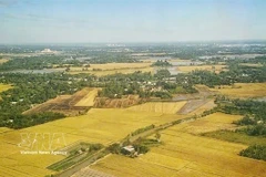Ces dernières homologations soulignent la présence croissante du riz vietnamien sur l'un des marchés les plus exigeants au monde. (Photo : VNA)