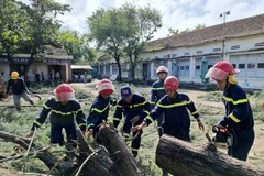 Un arbre tombé près du lycée Nguyen Hong Son, dans le quartier de Xuan Dai, province de Dak Lak, a été dégagé. (Photo : VNA)