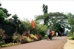 Modèle de Nouvelle ruralité dans la commune de Xuan Dinh, district de Xuan Loc, province de Dong Nai. (Photo : VNA)