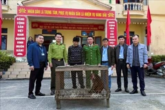 Nguyen Van Loc, résident du hameau Ban, commune de Hung Chân (district de Quy Châu, province de Nghe An), a remis de son plein gré un macaque à face rouge adulte aux autorités locales. Photo : VNA