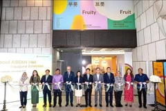 Céréùonie d'inauguration du hall ASEAN à Séoul. Photo : VNA