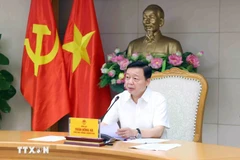 Le vice-Premier ministre Tran Hong Ha. Photo : VNA