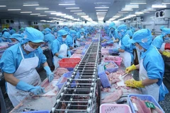 Après une forte croissance en début d’année, les exportations de produits aquatiques du Vietnam ont marqué un net ralentissement en juin 2025. Photo : VNA