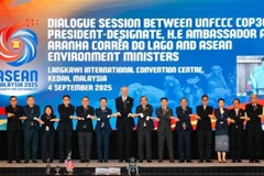 Les ministres de l'environnement de l'ASEAN et l'ambassadeur André Aranha Corrêa do Lago, président désigné de la 30e Conférence des Nations Unies sur les changements climatiques (COP30), posent pour une photo (Photo : VNA)