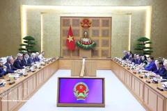 Lors de la séance de travail. Photo : VNA