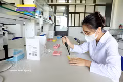 La société par actions Thai Binh Seed applique les avancées scientifiques et technologiques pour rechercher et développer de nombreuses variétés végétales à haut rendement et de grande qualité. Photo d'illustration : VNA