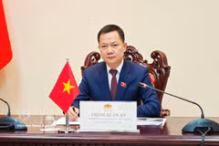 Le député à plein temps à l'Assemblée nationale, membre de la commission de la défense, de la sécurité et des affaires étrangères et vice-président du Groupe des jeunes députés de l’Assemblée nationale vietnamienne de la 15e législature, Trinh Xuân An. Photo : VNA