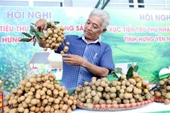 Un agriculteur présente des longanes fraîchement récoltés lors d'un événement de promotion commerciale à Hung Yen le 20 août. (Photo : VNA)
