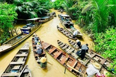 Ben Tre impressionne par son image de « pays de la noix de coco ». Photo hanoimoi.vn